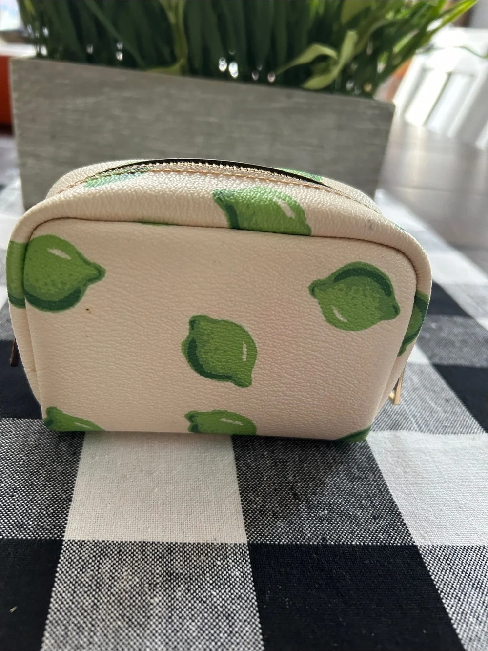 Coach Cream Cosmetic Pouch with Green Lime Print - Picture 2 of 5